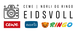 Logo norli
