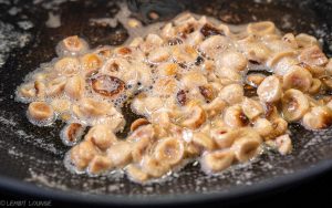 Cauliflower fennel gratin with hazelnuts curry smoked paprika