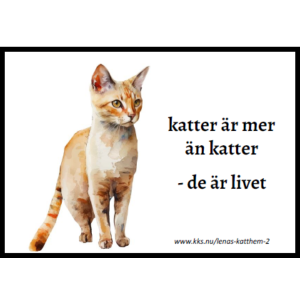 Katter är mer än…