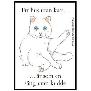 Ett hus utan katt…