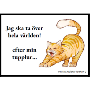 Jag ska ta över…