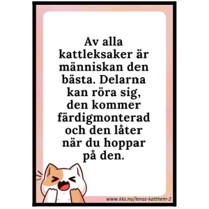 Av alla kattleksaker…