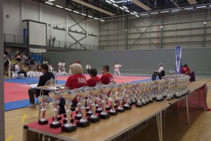 Open Championships June 2013