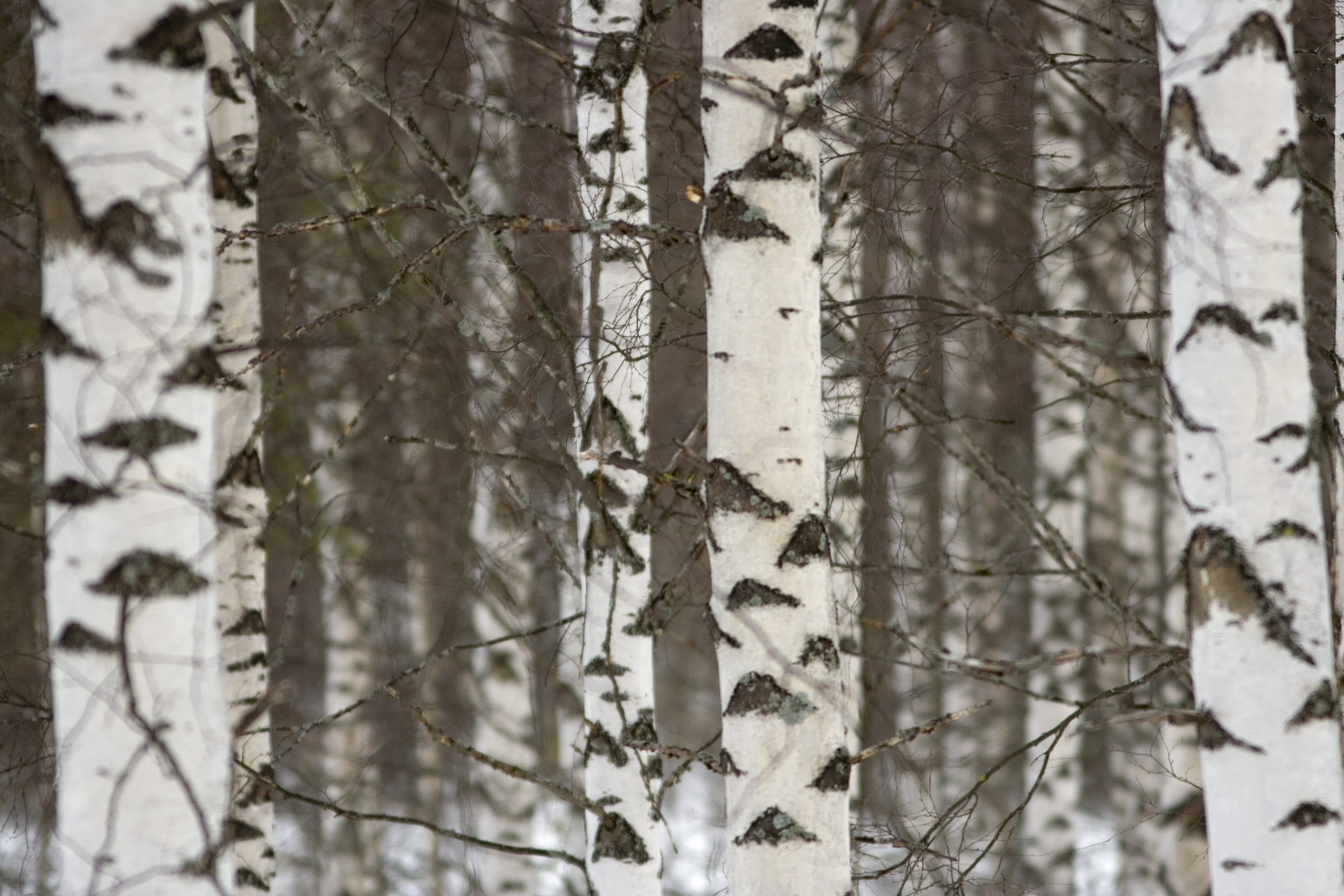 Skellefteå Krafts fjärrvärmetekniker