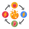 Metabolism e1690289562261