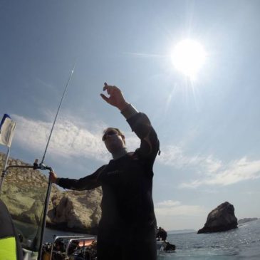 Qui a aimé le Stage de Mer?