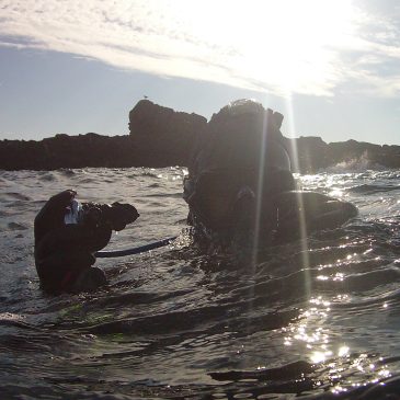 Stage de Mer 2018