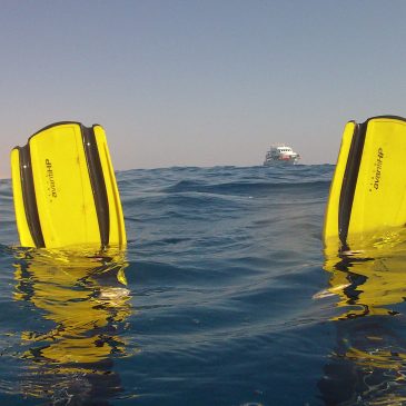 Croisière en Egypte