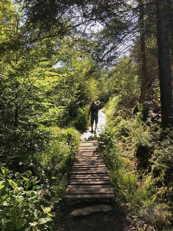 Promenade de la Hoëgne