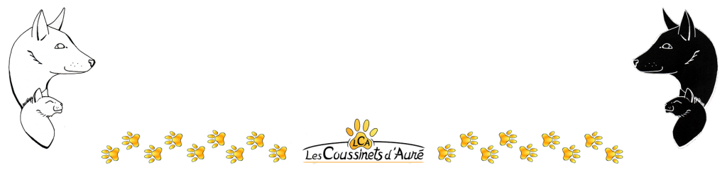 Bande - Chien Chat Pattes_2