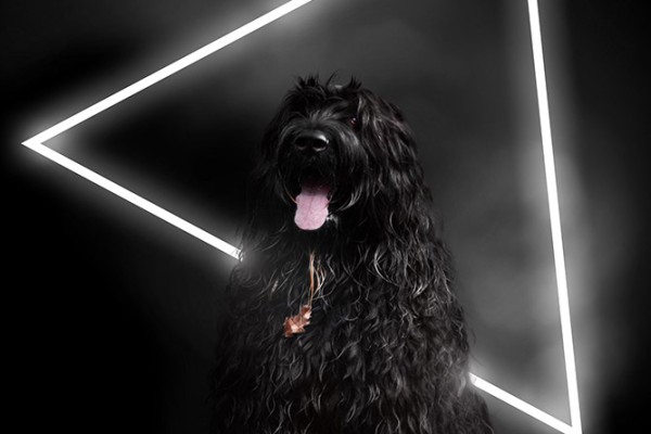 Effet-Neon_01_JEWEL_site-LCA