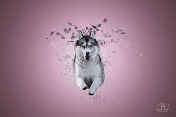 dispersion_08