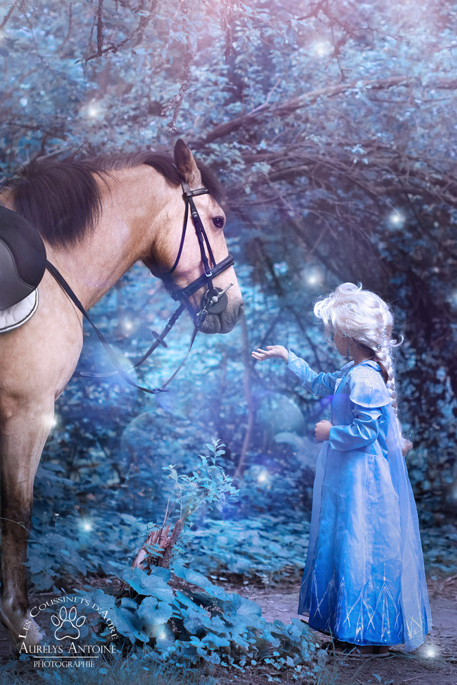 Photographie Cosplay Reine des Neiges avec un cheval (Finker)