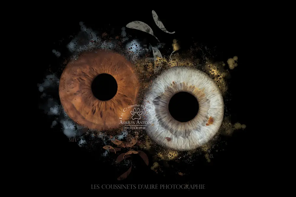 Photo Iris 77 - Yeux clair et marron avec un effet type dispersion