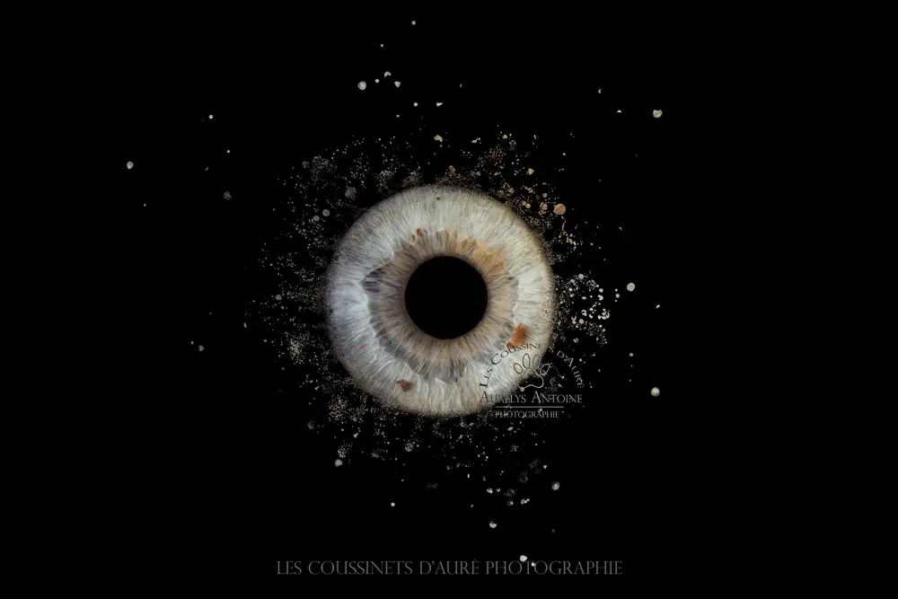 Photo Iris 77 - Yeux clair avec un effet type dispersion