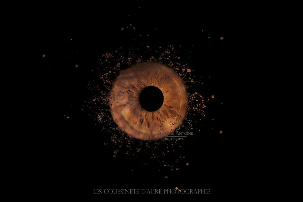 Photo Iris 77 à domicile - Yeux noisette avec un effet type dispersion