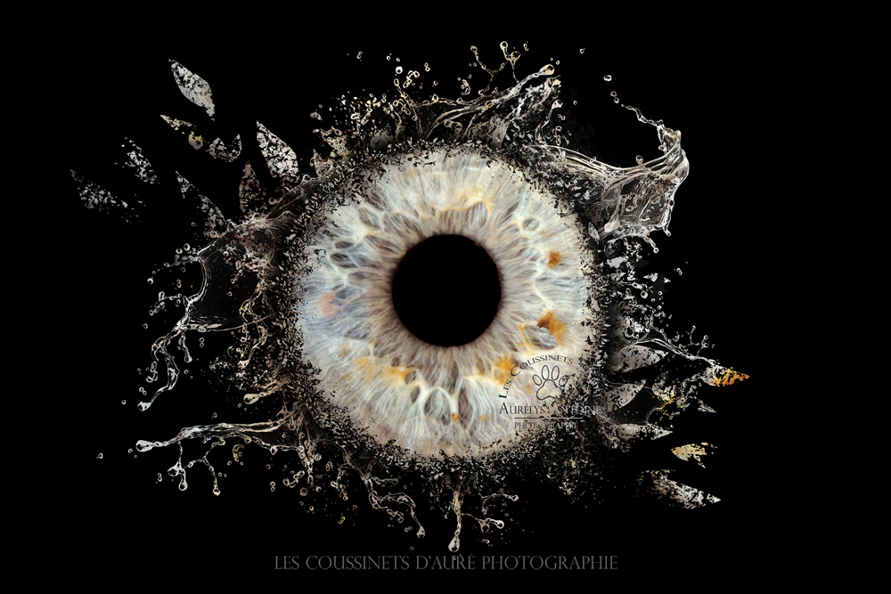 Photo Iris 77 - Yeux clair avec un effet type aquatique