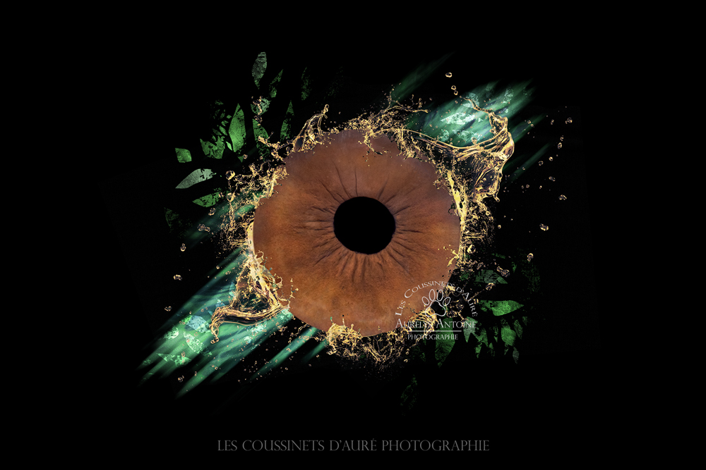 Photo Iris 77 - Yeux clair avec un effet type aqua-lum