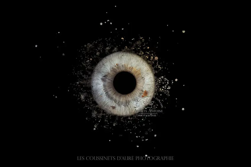 Photo Iris 77 à domicile - Yeux clair avec un effet type dispersion