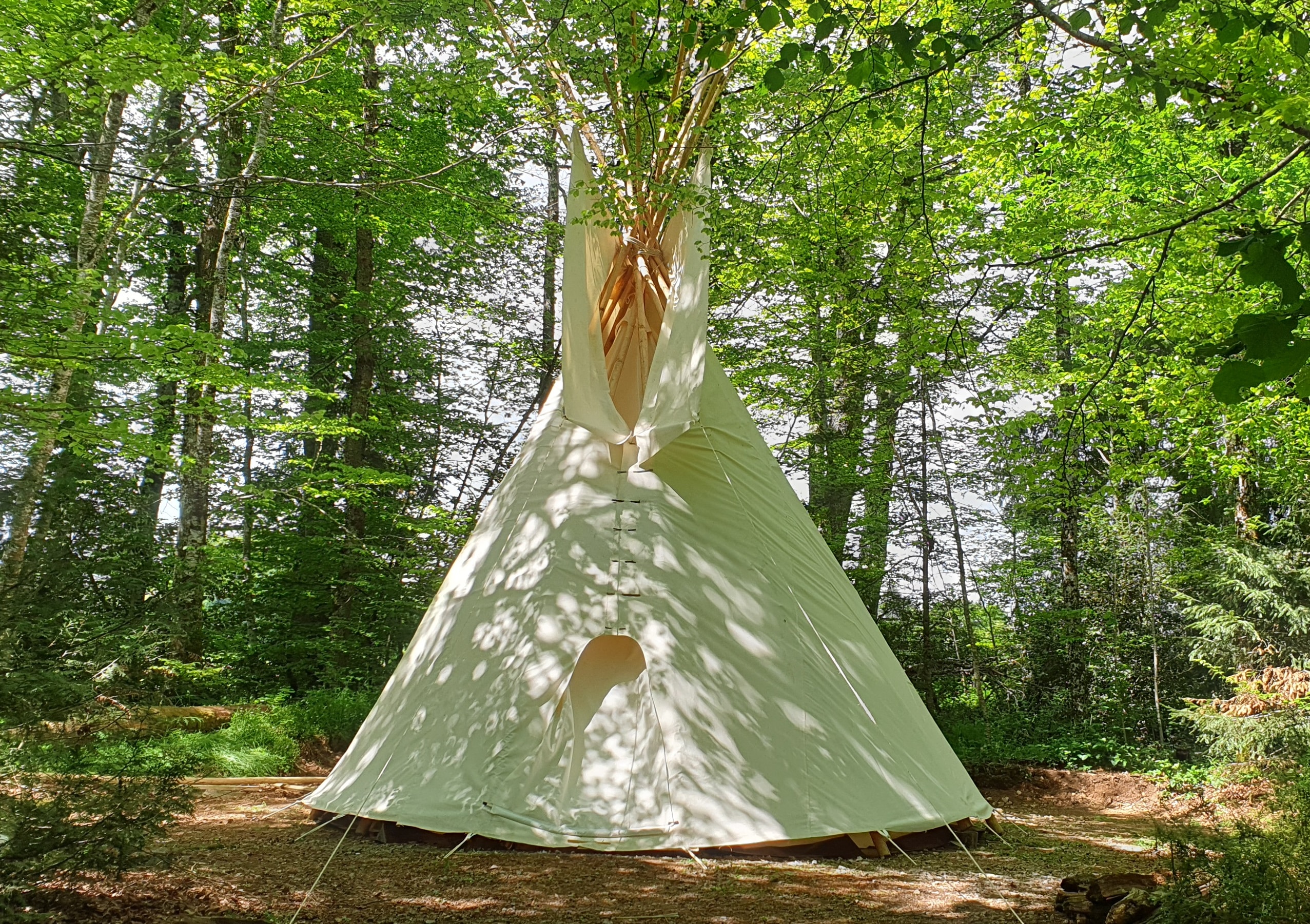 tipi