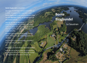 Bonte blogbundel