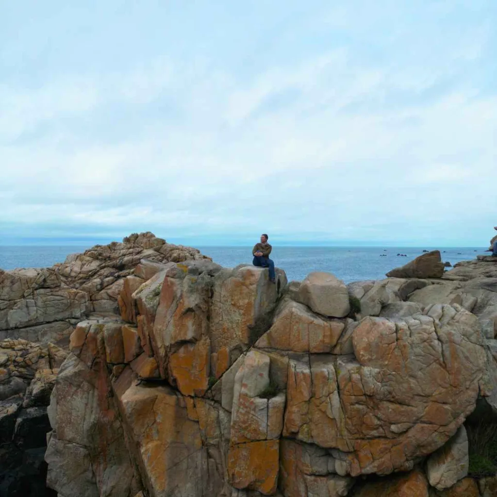 Poipoines en Bretagne