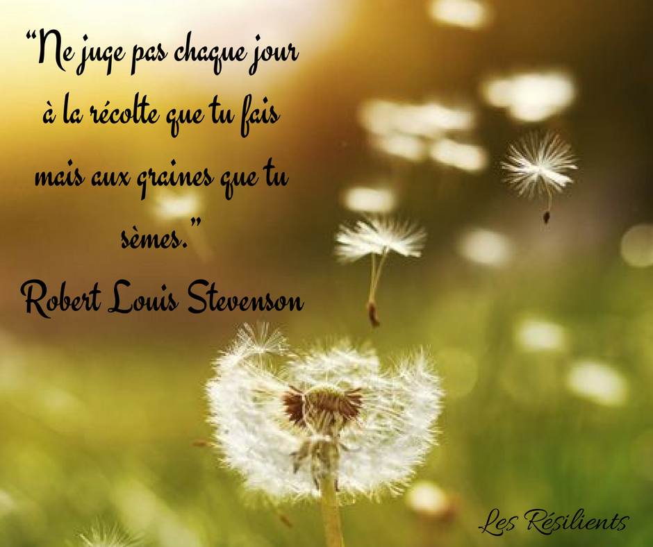 Quelques Citations Inspirantes Les Resilients