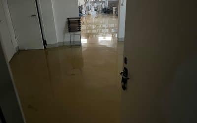 Kommunens stopp i avloppet gav översvämning i hyreslokal.