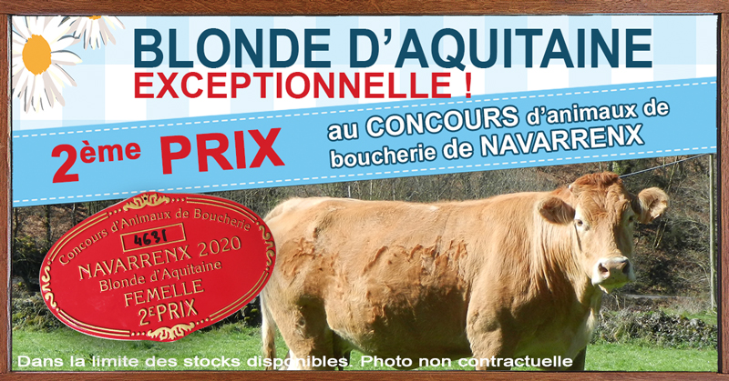 You are currently viewing Blonde d&rsquo;Aquitaine exceptionnelle – 2ème prix au concours de Navarrens