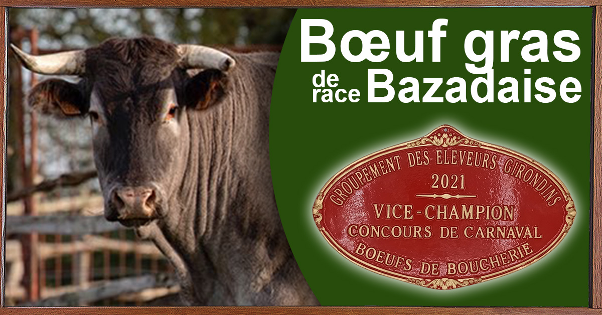 2021-02-18-Boeuf-gras-de-bazas-post-FB-1