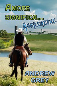 Recensione “Amore significa guarigione” di Andrew Grey