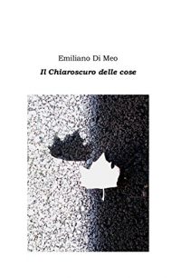 Recensione “Il chiaroscuro delle cose” di Emiliano Di Meo