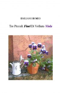 Recensione in anteprima “Tre piccoli fiori di velluto viola” di Emiliano Di Meo