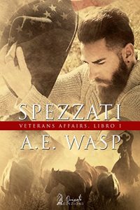 Recensione “Spezzati” di A.E. Wasp – Veterans affairs vol.1