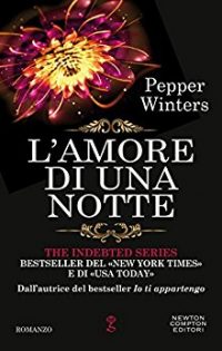 Recensione di “L’AMORE DI UNA NOTTE (The indebted series Vol. 7)” di Pepper Winters