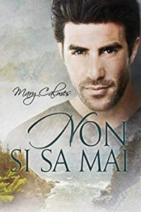 Recensione “Non si sa mai” di Mary Calmes