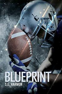 Recensione “Blueprint” di S.E. Harmon