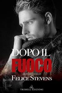 Recensione “Dopo il fuoco” di Felice Stevens