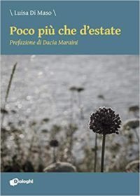 Recensione “Poco più che d’estate” di Luisa Di Maso