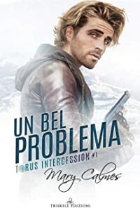 Recensione “Un bel problema (Torus Intercession Vol. 1)” di Mary Calmes