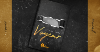 Cover reveal “Voyeur” di Fiona Cole