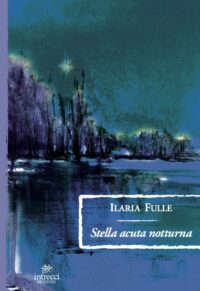 Recensione ” Stella acuta notturna” di Ilaria Fulle