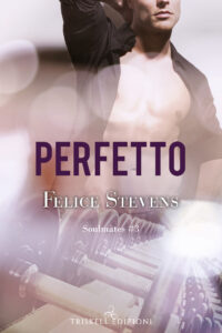 Recensione “ Perfetto” -Serie: Soulmates #3 di Felice Stevens