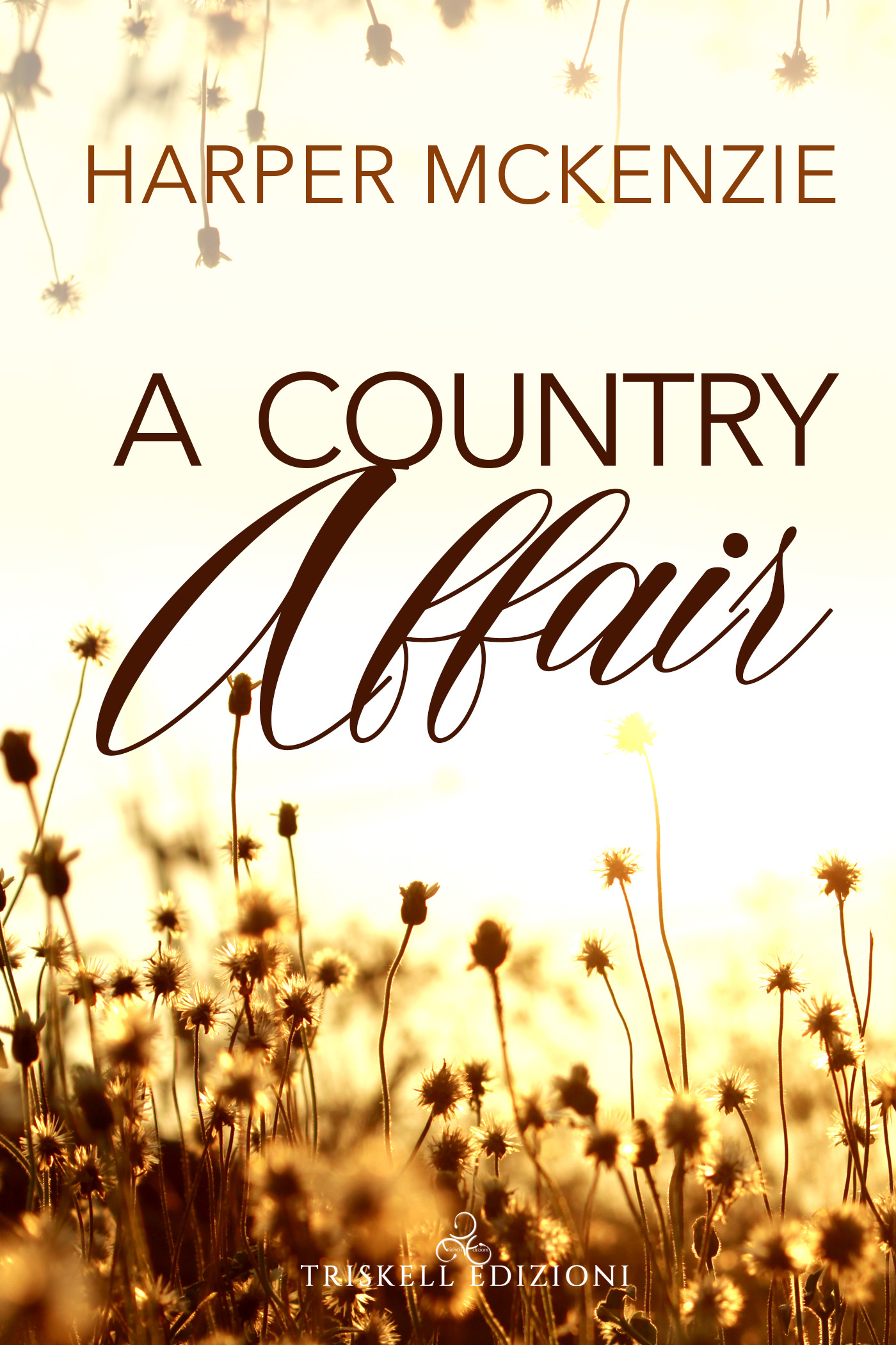 Recensione doppia  “A country affair” di Harper McKenzie