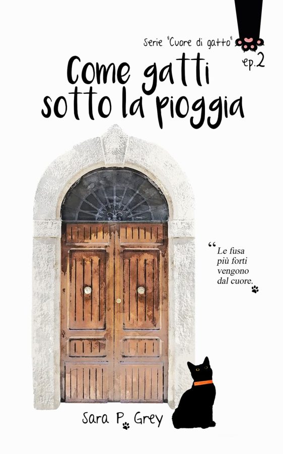 Review party “Come gatti sotto la pioggia” Serie Cuore di gatto di Cristina Origone e Sara P. Grey