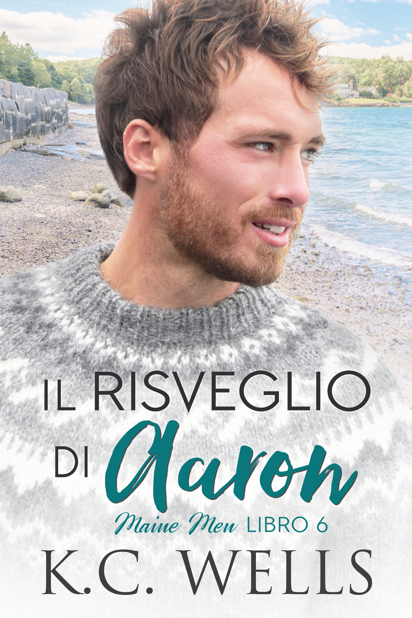 Recensione “Il risveglio di Aaron” – Serie Maine Men #6 di KC Wells