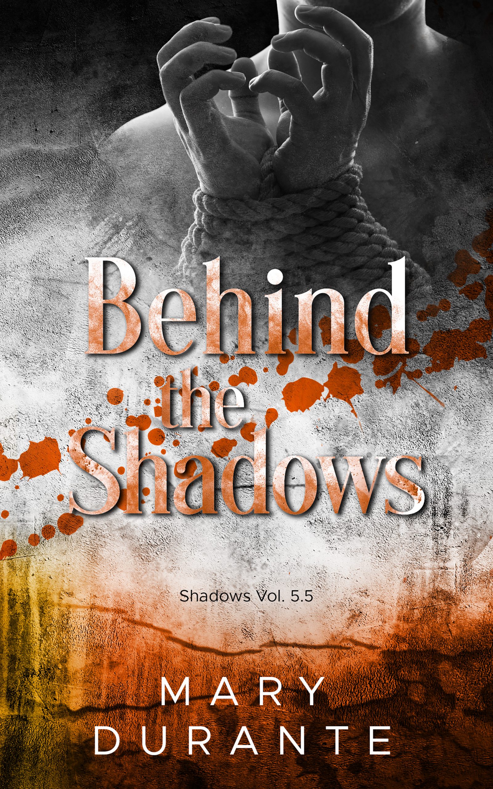 Recensione in anteprima “Behind the shadows” – Serie Shadows vol 5.5 di Mary Durante