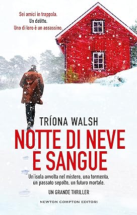 Recensione “Notte di neve e sangue” di Trìona Walsh