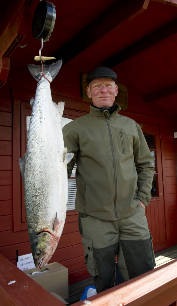 Skjern Åens laks hører til verdens flotteste