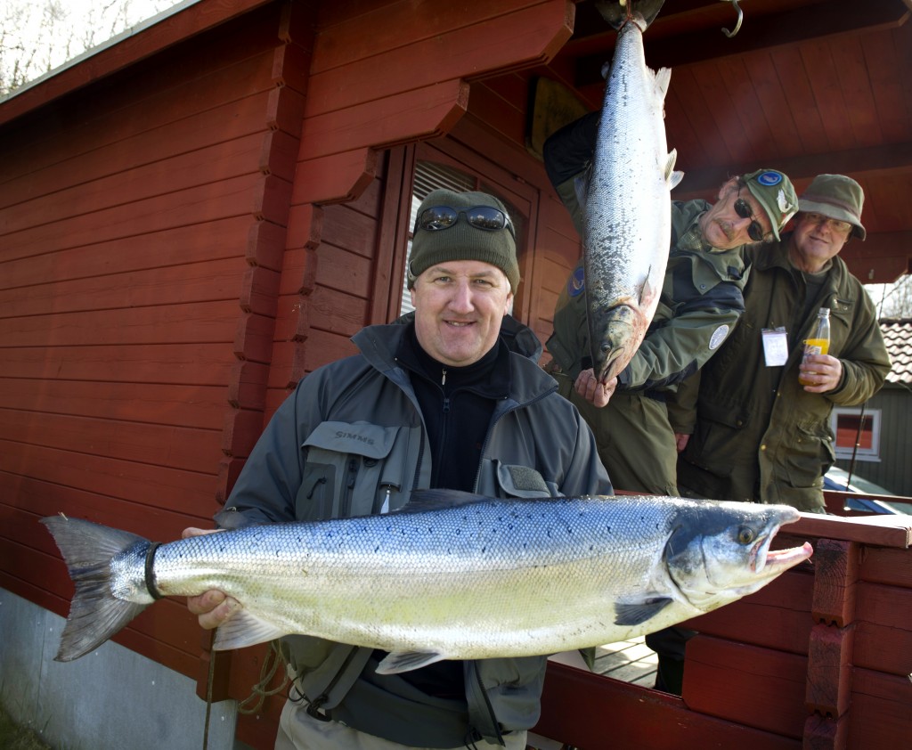 I Lystfiskerforeningen af 1926 fanger medlemmerne mange fine laks og havørreder.